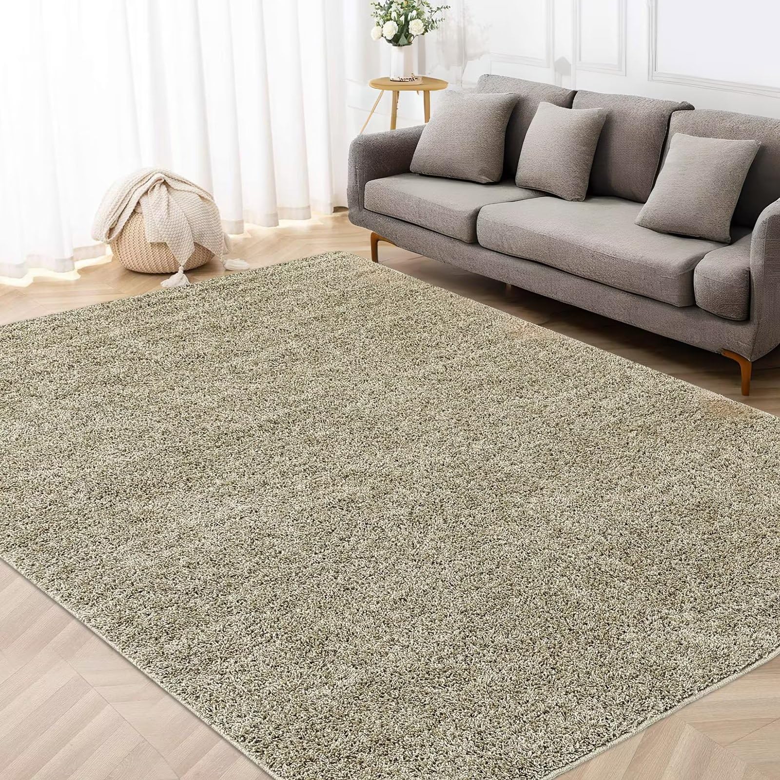 Shag rug 4x6 discount