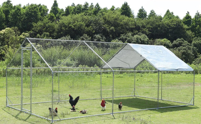 How to Build a Chicken Coop: Discover GARVEE's Metal Chicken Coop