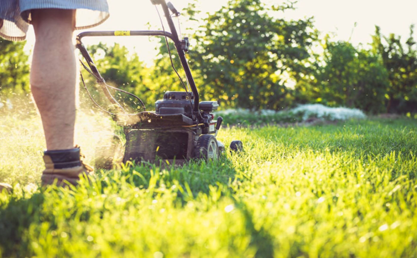 What Do Lawn Care Services Do?