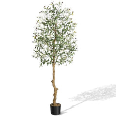 GARVEE Olive Trees Artificial Indoor, 6FT Tall Olive Tree Plants, Faux Olive Tree with Realistic Trunk, Leaves, Fruits for Home Office Decor