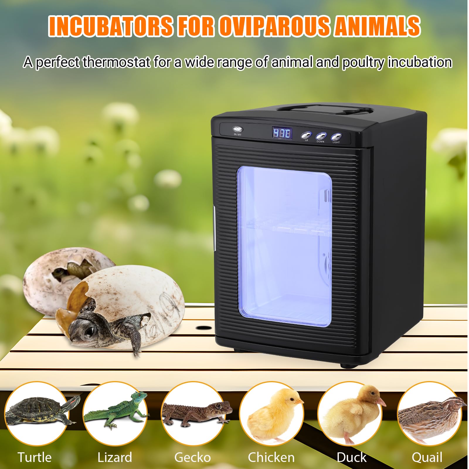 GARVEE 25 L Incubator, Portable Reptile Science Laboratory Incubator, Temperature Controlled 5°C-60°C, for Small Reptiles（Black）